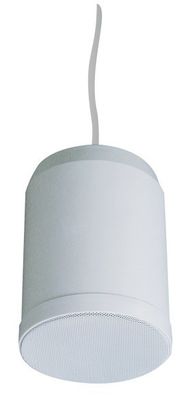 10W 20W Indoor Hanging Pendant Speaker PA System