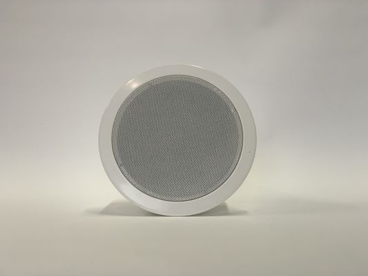 IP Network PA System with 6W Class D Amplifier 10/100Mbps 92dB Sensitivity POE Ceiling Speaker