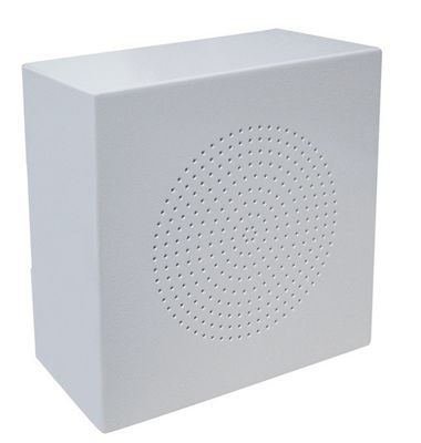 Indoor Wall Mount Fireproof Speak System Sound Audio